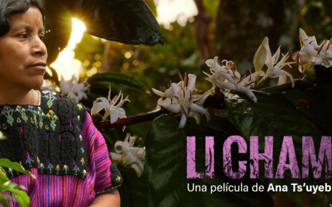 LICHAM